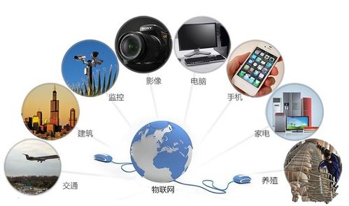 物联网时代的隐形战场 网络与信息安全软件开发的九大核心挑战